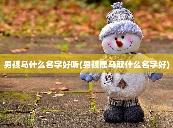 男孩马什么名字好听(男孩属马取什么名字好)