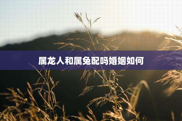 属龙人和属兔配吗婚姻如何