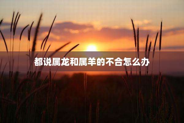 都说属龙和属羊的不合怎么办