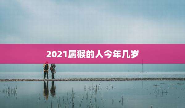 2021属猴的人今年几岁