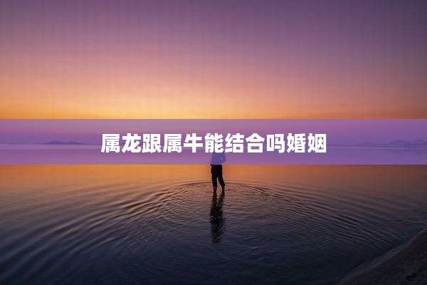 属龙跟属牛能结合吗婚姻