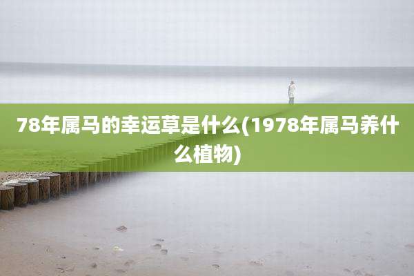 78年属马的幸运草是什么(1978年属马养什么植物)