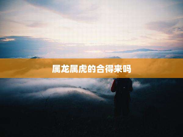 属龙属虎的合得来吗