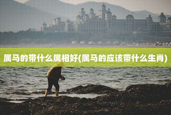 属马的带什么属相好(属马的应该带什么生肖)