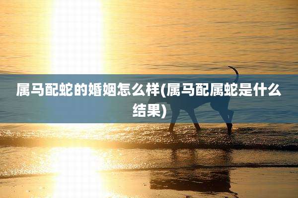 属马配蛇的婚姻怎么样(属马配属蛇是什么结果)