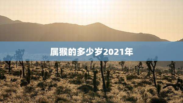 属猴的多少岁2021年