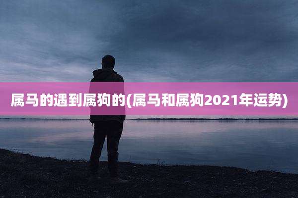 属马的遇到属狗的(属马和属狗2021年运势)