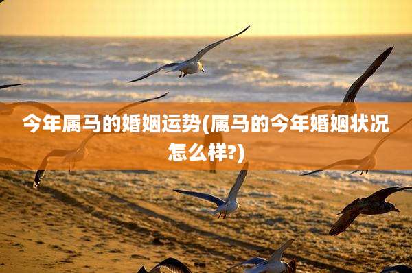 今年属马的婚姻运势(属马的今年婚姻状况怎么样?)