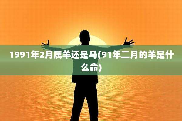 1991年2月属羊还是马(91年二月的羊是什么命)
