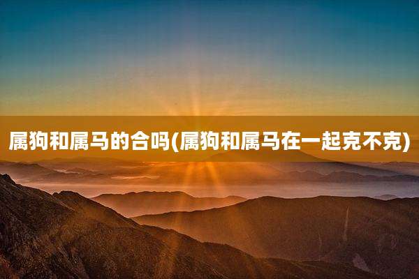属狗和属马的合吗(属狗和属马在一起克不克)
