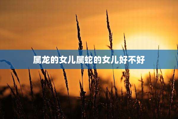 属龙的女儿属蛇的女儿好不好