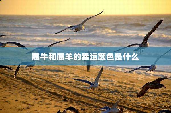 属牛和属羊的幸运颜色是什么