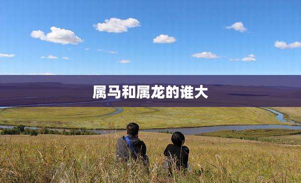 属马和属龙的谁大