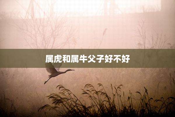属虎和属牛父子好不好