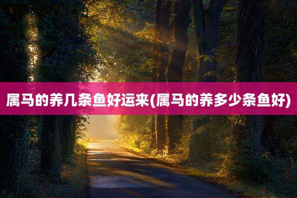 属马的养几条鱼好运来(属马的养多少条鱼好)