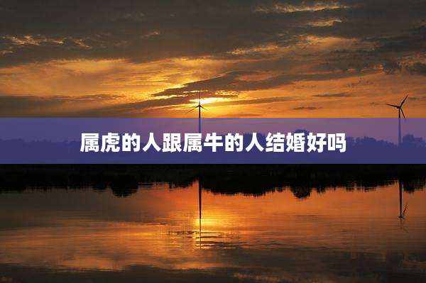属虎的人跟属牛的人结婚好吗