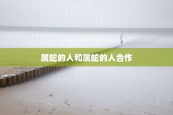 属蛇的人和属蛇的人合作