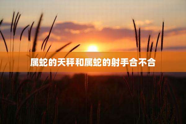 属蛇的天秤和属蛇的射手合不合