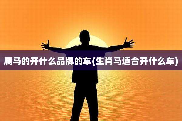 属马的开什么品牌的车(生肖马适合开什么车)