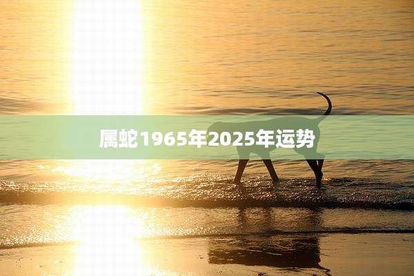 属蛇1965年2025年运势