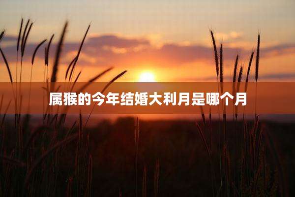 属猴的今年结婚大利月是哪个月