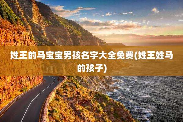 姓王的马宝宝男孩名字大全免费(姓王姓马的孩子)