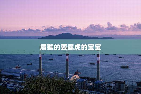 属猴的要属虎的宝宝