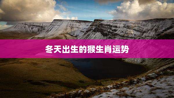 冬天出生的猴生肖运势