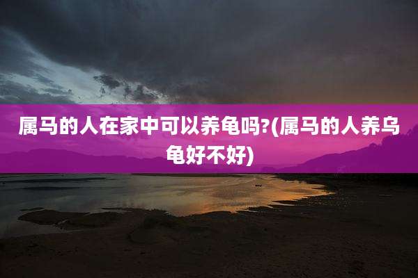 属马的人在家中可以养龟吗?(属马的人养乌龟好不好)