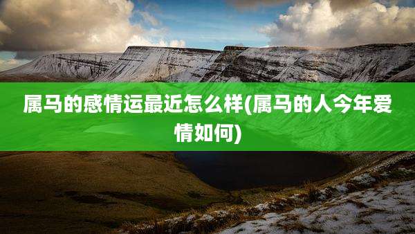 属马的感情运最近怎么样(属马的人今年爱情如何)