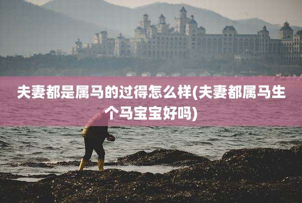 夫妻都是属马的过得怎么样(夫妻都属马生个马宝宝好吗)