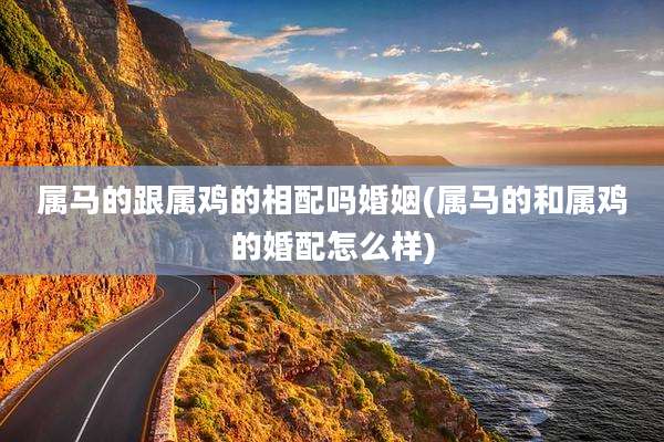 属马的跟属鸡的相配吗婚姻(属马的和属鸡的婚配怎么样)