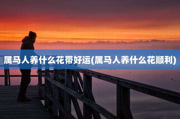 属马人养什么花带好运(属马人养什么花顺利)
