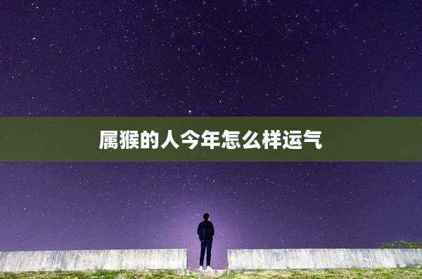 属猴的人今年怎么样运气