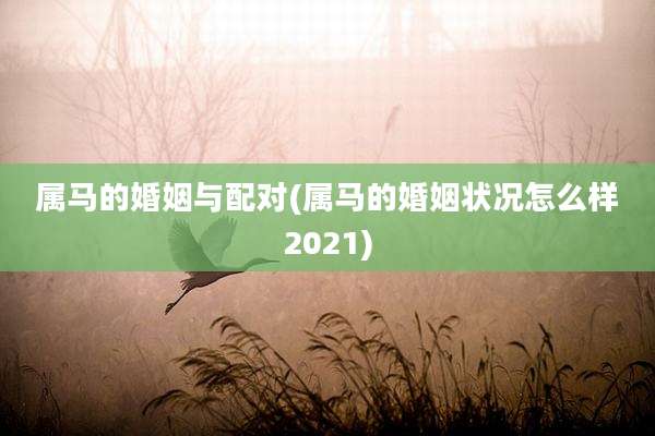 属马的婚姻与配对(属马的婚姻状况怎么样2021)