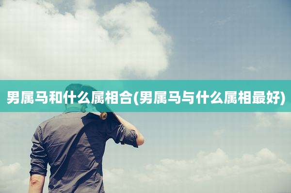 男属马和什么属相合(男属马与什么属相最好)