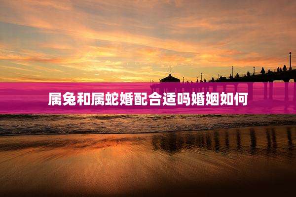 属兔和属蛇婚配合适吗婚姻如何