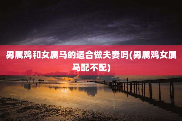 男属鸡和女属马的适合做夫妻吗(男属鸡女属马配不配)