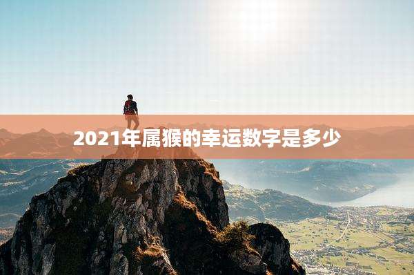 2021年属猴的幸运数字是多少