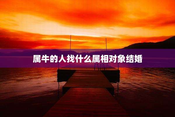 属牛的人找什么属相对象结婚