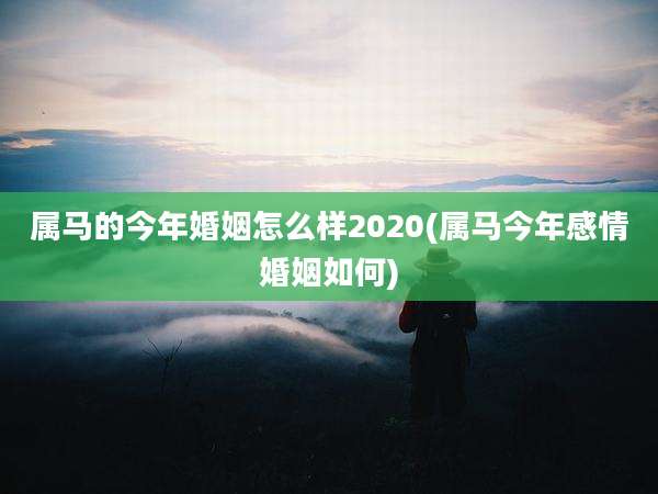 属马的今年婚姻怎么样2020(属马今年感情婚姻如何)