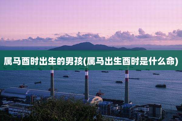 属马酉时出生的男孩(属马出生酉时是什么命)