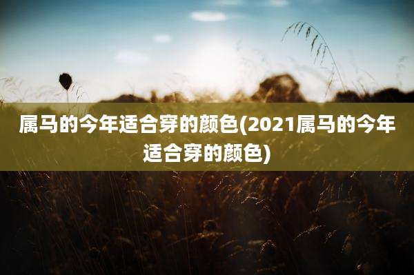 属马的今年适合穿的颜色(2021属马的今年适合穿的颜色)