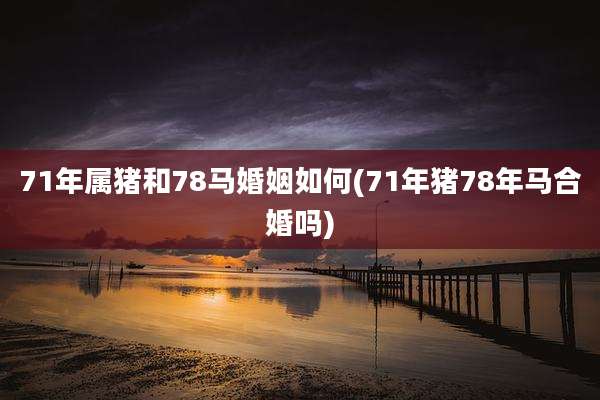 71年属猪和78马婚姻如何(71年猪78年马合婚吗)