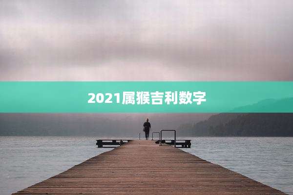 2021属猴吉利数字