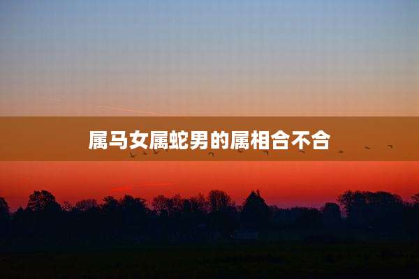属马女属蛇男的属相合不合