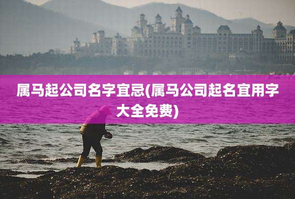 属马起公司名字宜忌(属马公司起名宜用字大全免费)