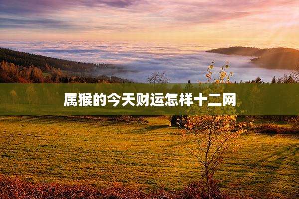 属猴的今天财运怎样十二网