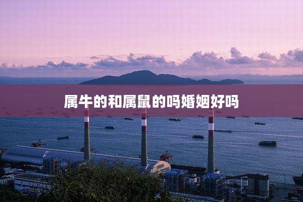 属牛的和属鼠的吗婚姻好吗