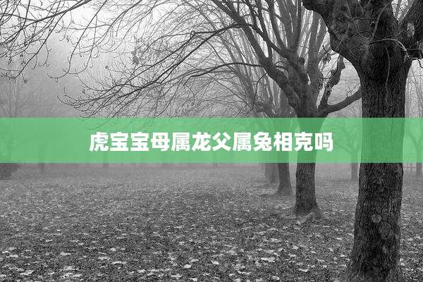 虎宝宝母属龙父属兔相克吗